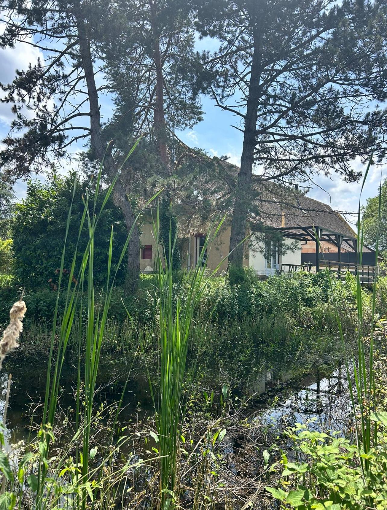 Le Gite Du Chateau Mouton Chatenoy-le-Royal Екстериор снимка