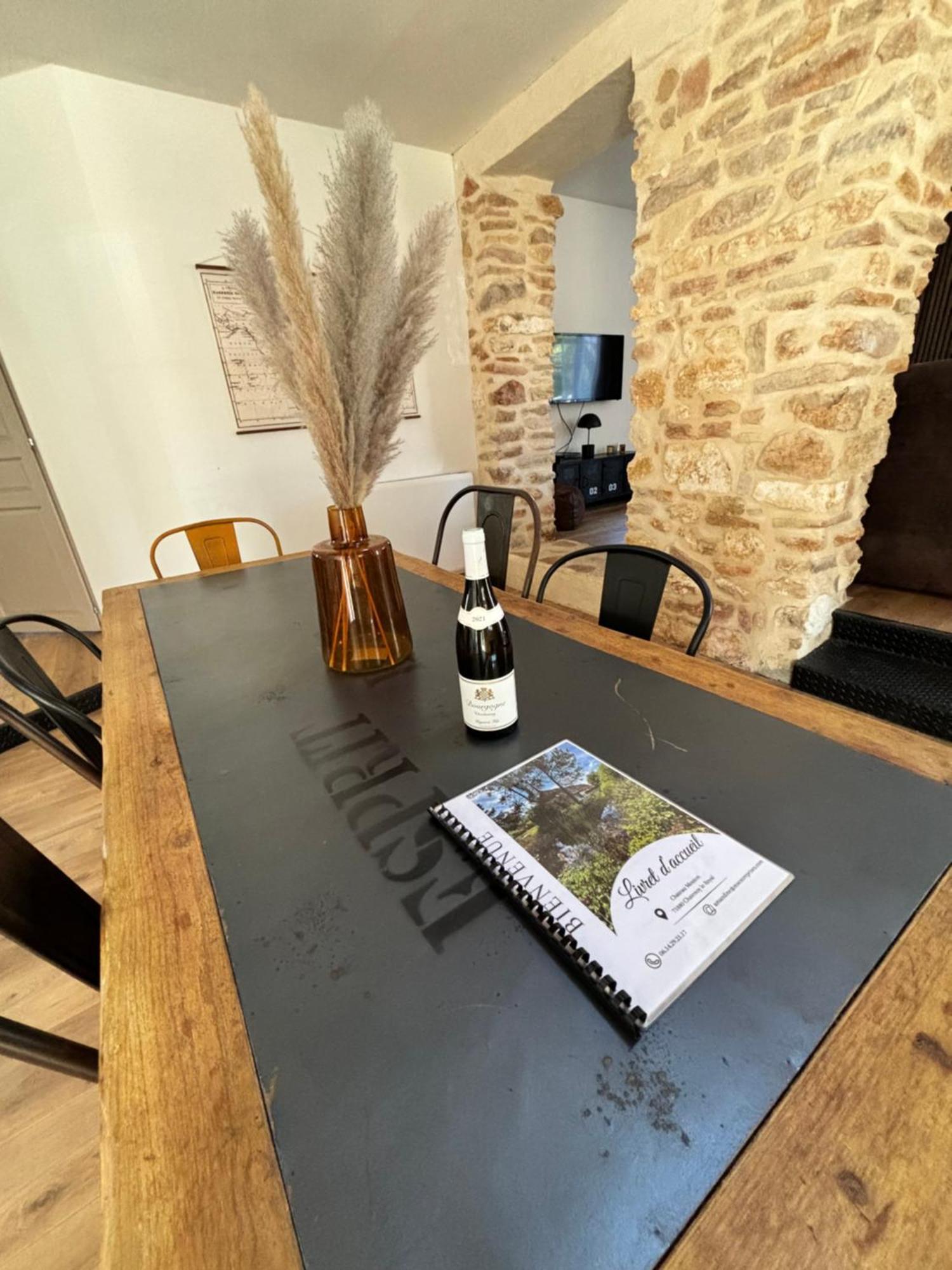 Le Gite Du Chateau Mouton Chatenoy-le-Royal Екстериор снимка
